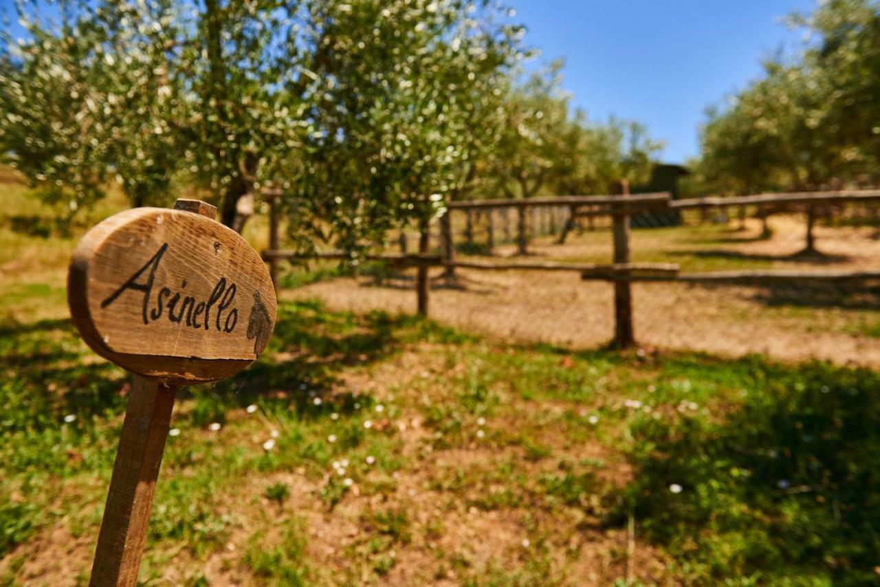 Casale Di Valle Villa Vinci Buitenkant foto