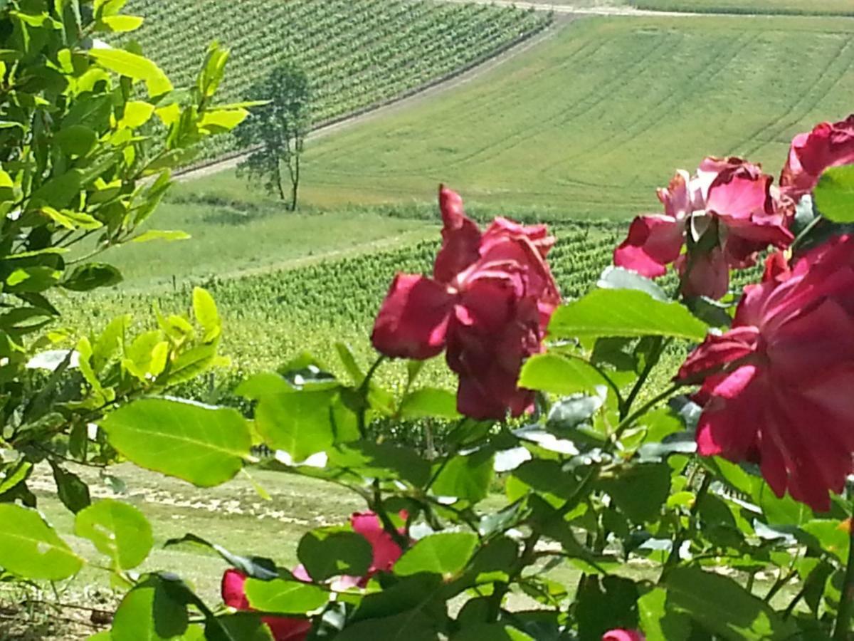 Casale Di Valle Villa Vinci Buitenkant foto