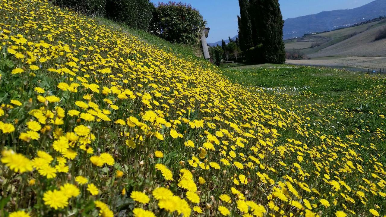 Casale Di Valle Villa Vinci Buitenkant foto