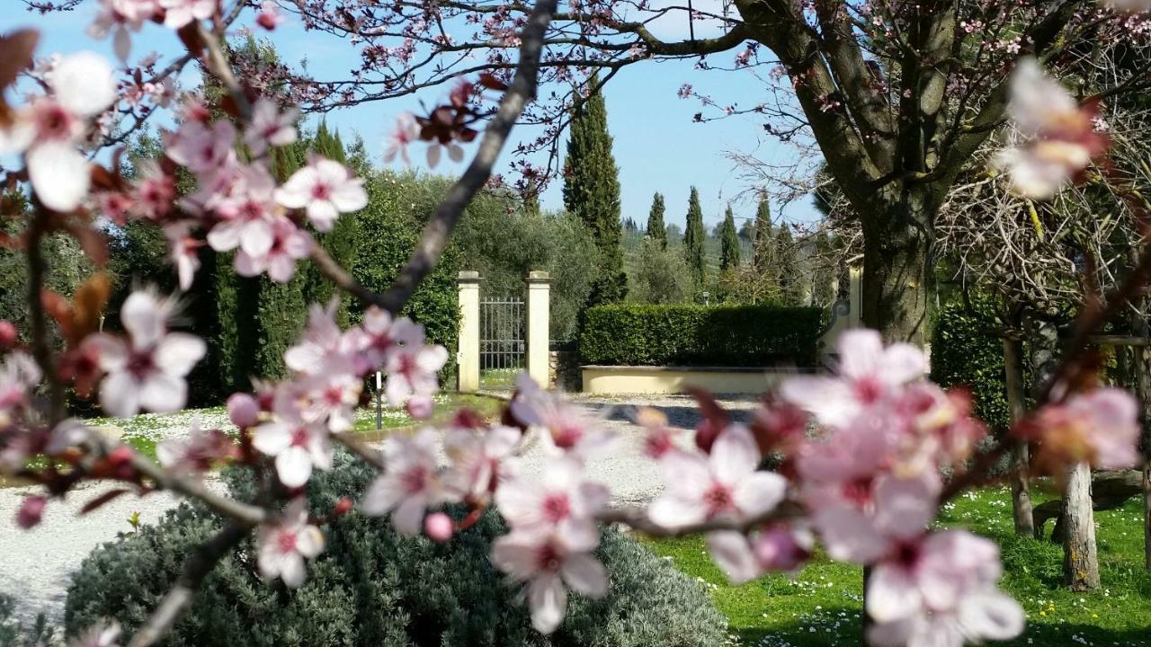 Casale Di Valle Villa Vinci Buitenkant foto