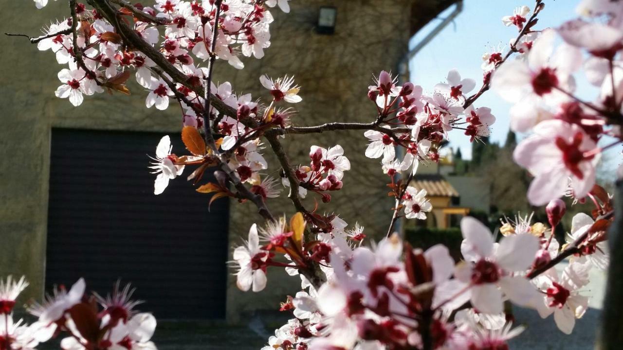Casale Di Valle Villa Vinci Buitenkant foto